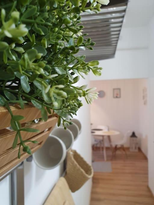 Andrea Apartman Miskolc Belvarosaban Ngoại thất bức ảnh